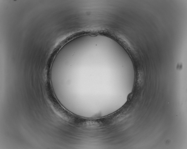 X0000091990636200709201448