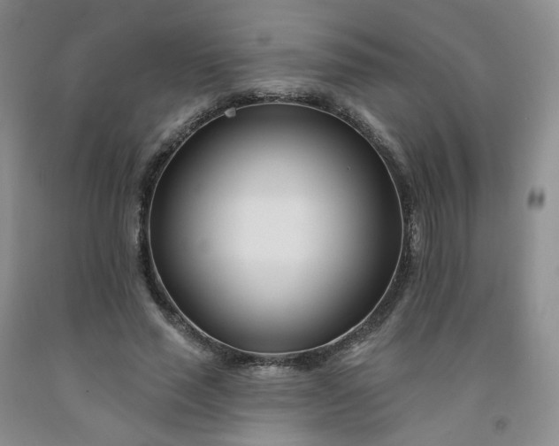 X0000091990637200709201448
