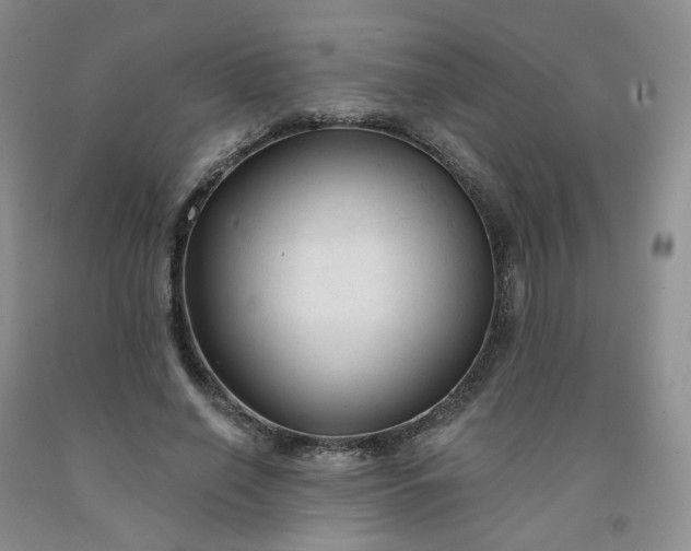 X0000091990638200709201448