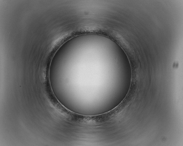 X0000091990640200709201448