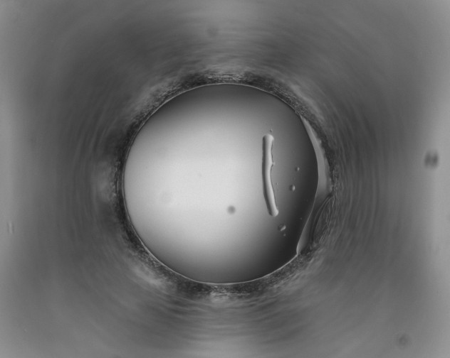 X0000091990641200709201448