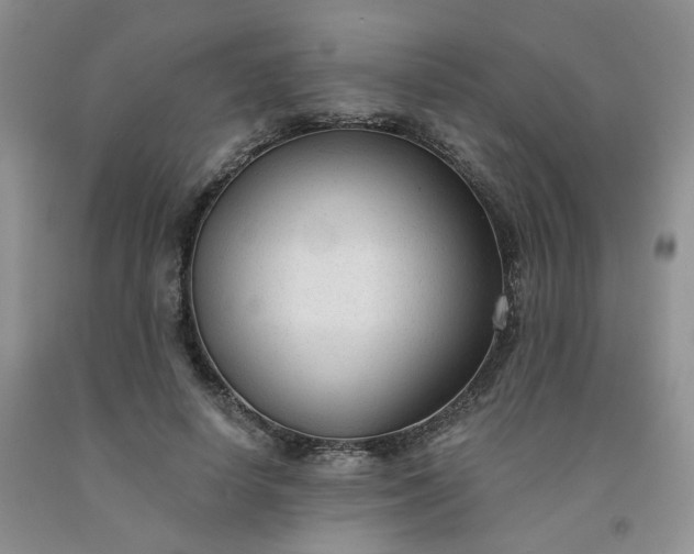X0000091990642200709201448