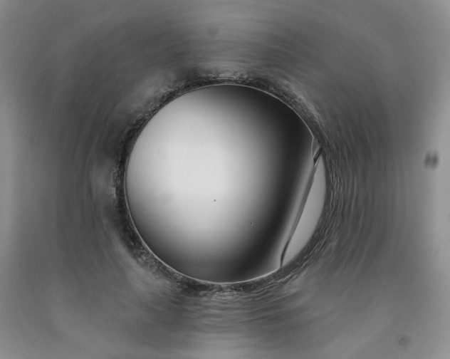 X0000091990643200709201448
