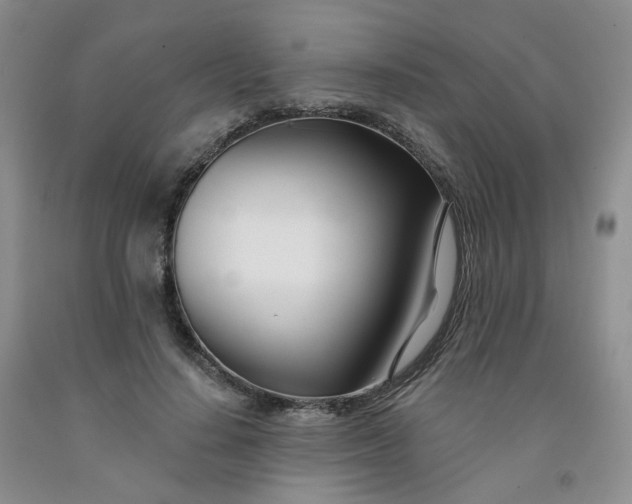 X0000091990644200709201448