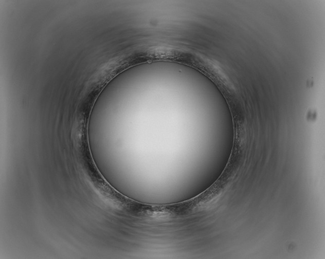 X0000091990645200709201448