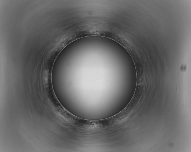 X0000091990646200709201448