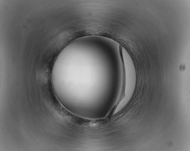 X0000091990647200709201448