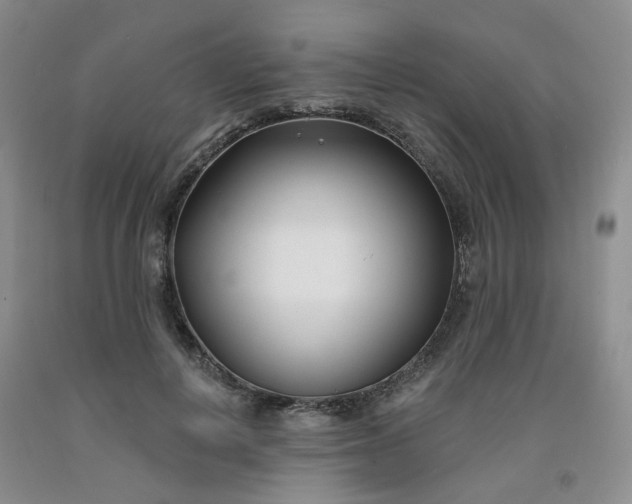 X0000091990648200709201448