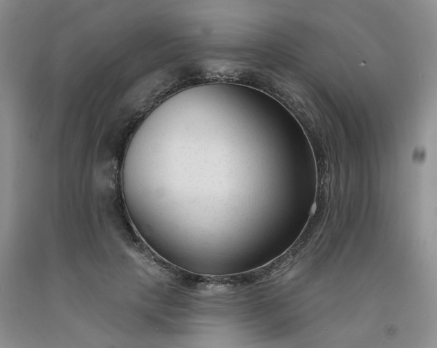 X0000091990649200709201448