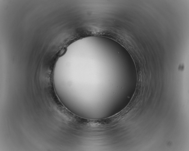 X0000091990650200709201448
