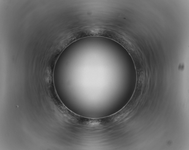 X0000091990651200709201448