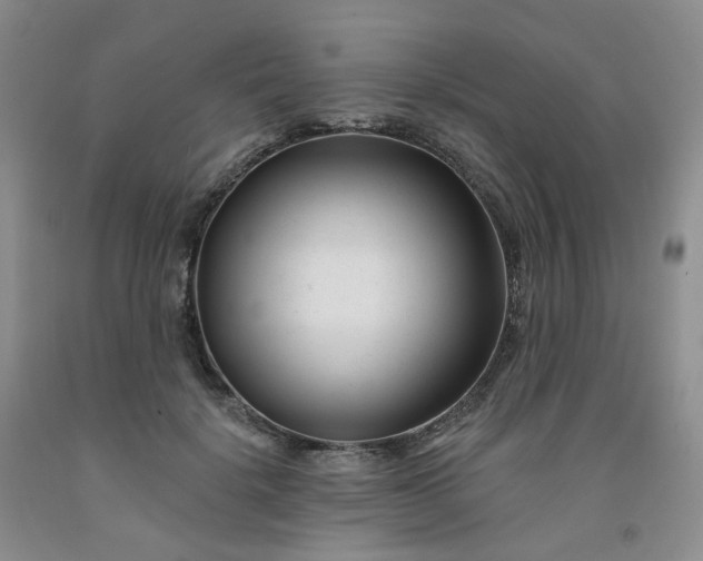 X0000091990652200709201448