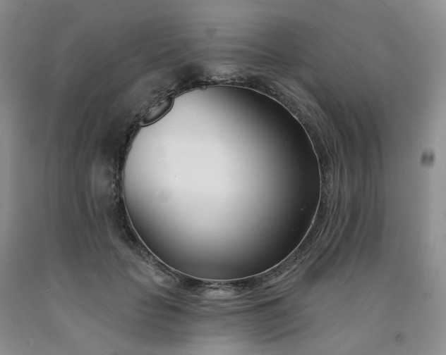 X0000091990653200709201448