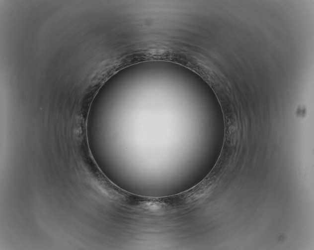 X0000091990654200709201448