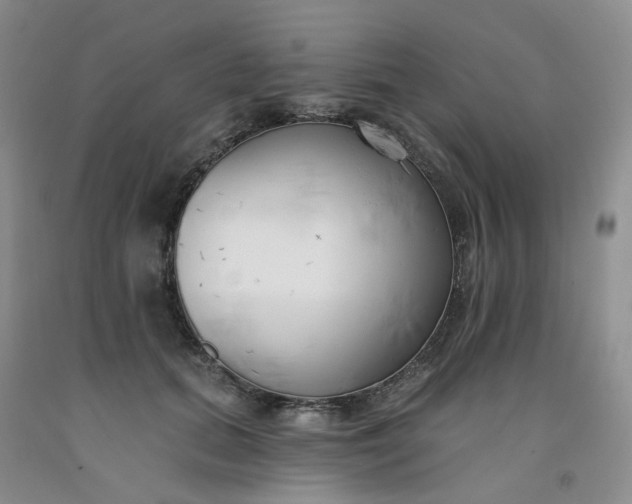 X0000091990655200709201448