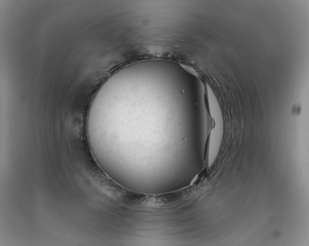 X0000091990656200709201448
