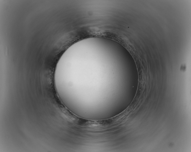 X0000091990658200709201448