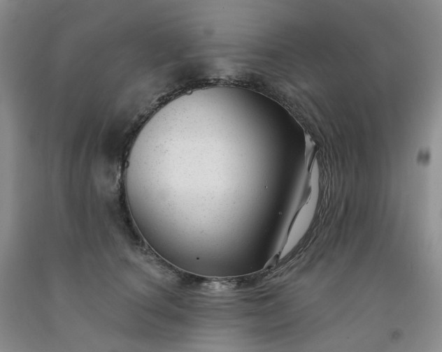 X0000091990660200709201448