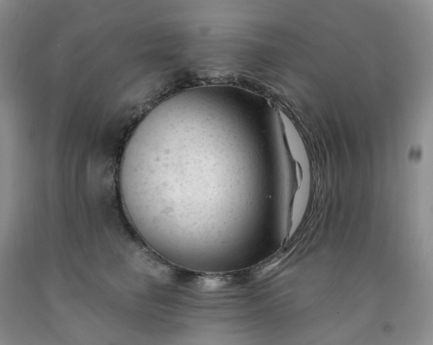 X0000091990662200709201448