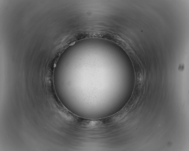 X0000091990663200709201448