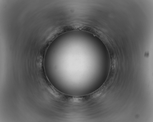 X0000091990664200709201448