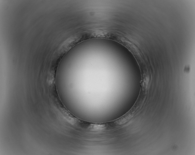 X0000091990665200709201448