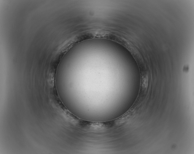 X0000091990666200709201448