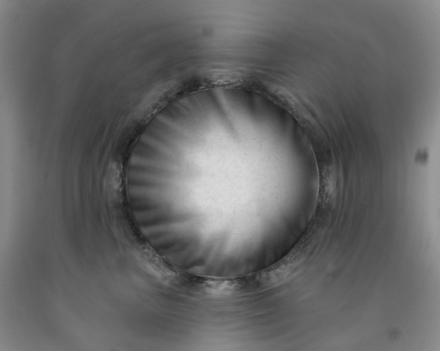 X0000091990667200709201448