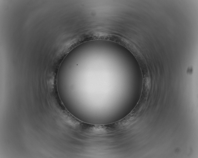 X0000091990668200709201448