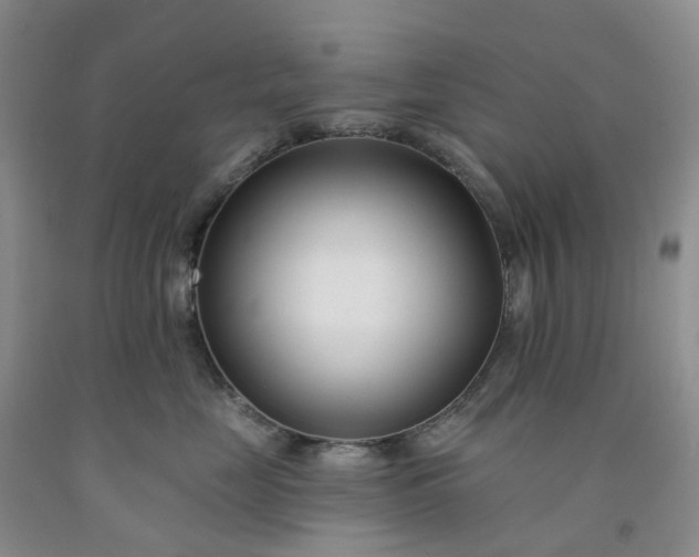 X0000091990669200709201448