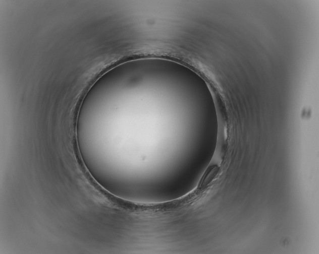 X0000091990673200709201448