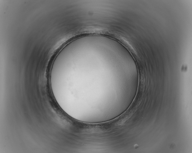 X0000091990674200709201448