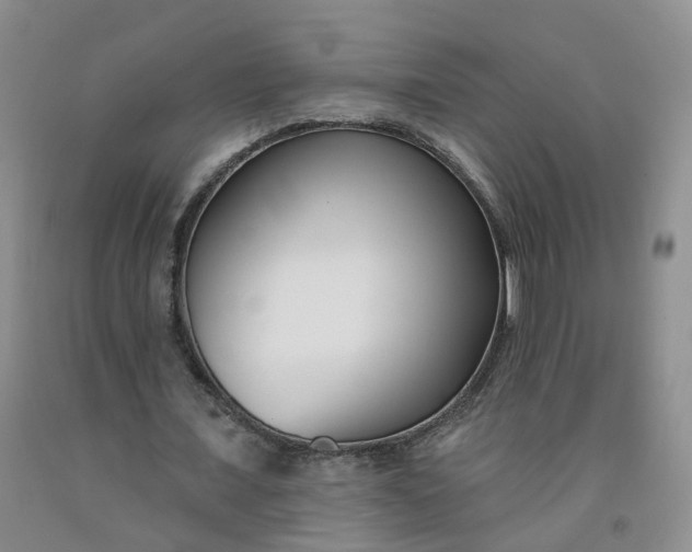 X0000091990675200709201448