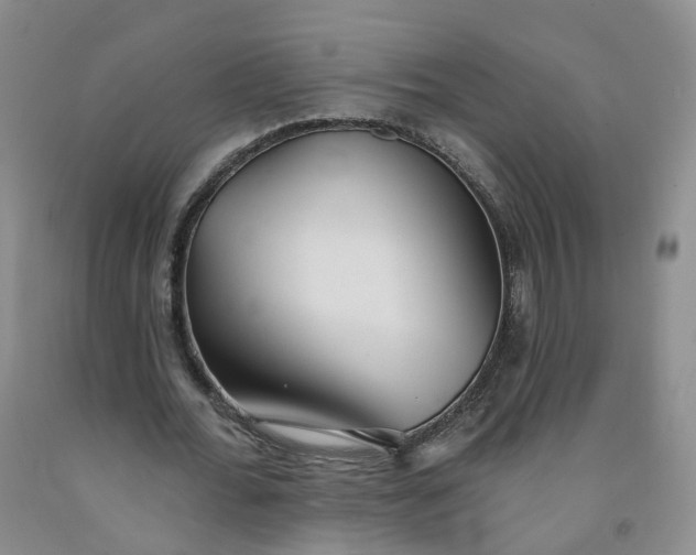 X0000091990676200709201448