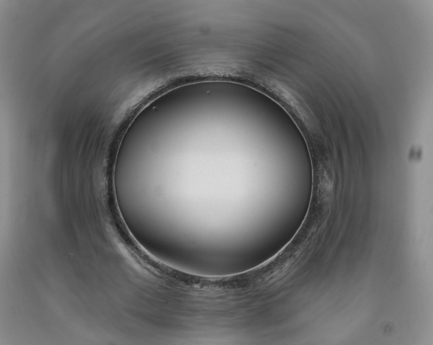X0000091990677200709201448