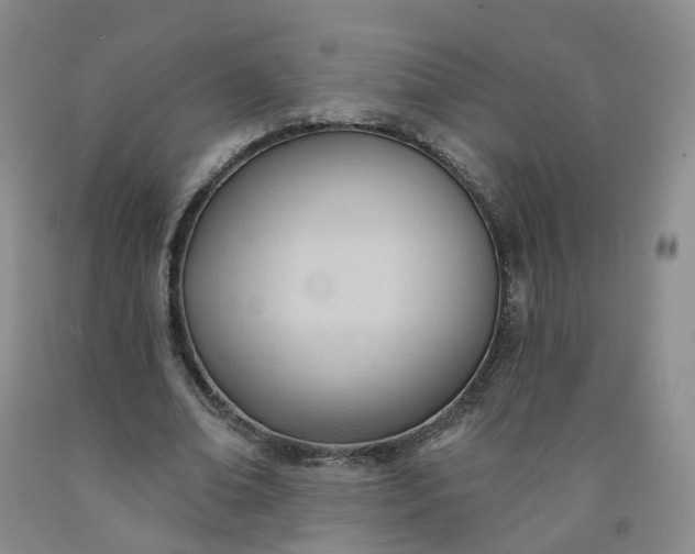 X0000091990678200709201448