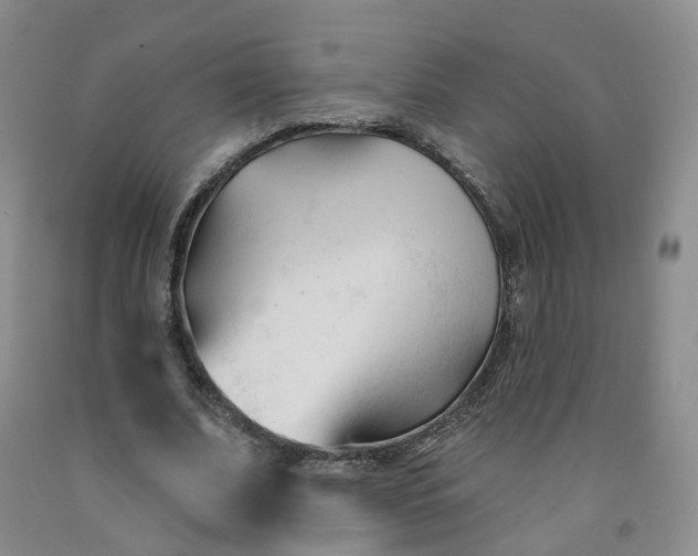 X0000091990679200709201448