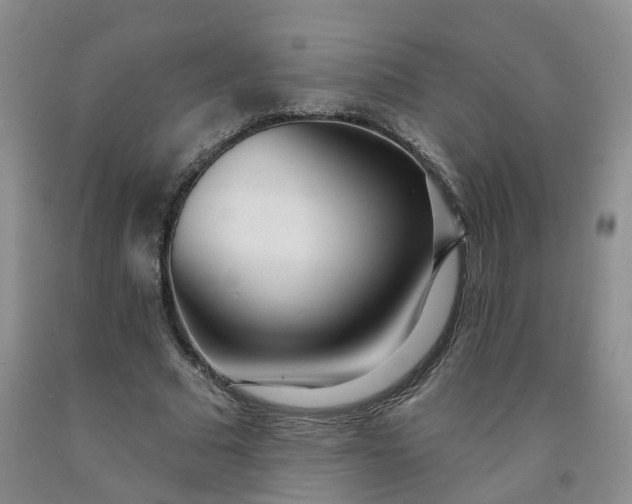 X0000091990681200709201448