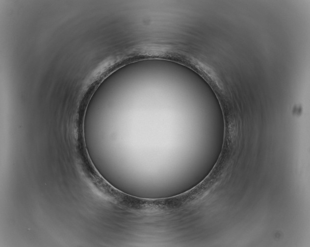 X0000091990682200709201448