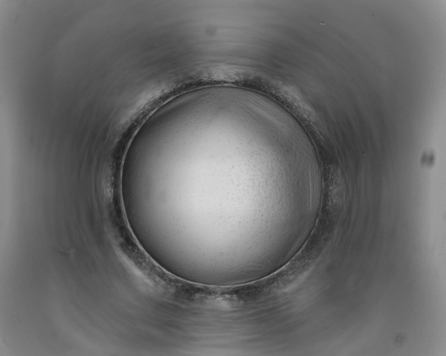 X0000091990683200709201448