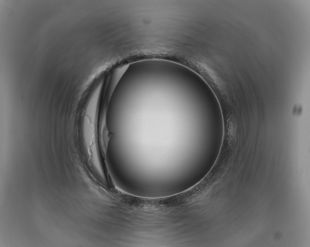 X0000091990684200709201448