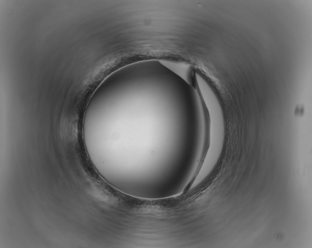 X0000091990685200709201448