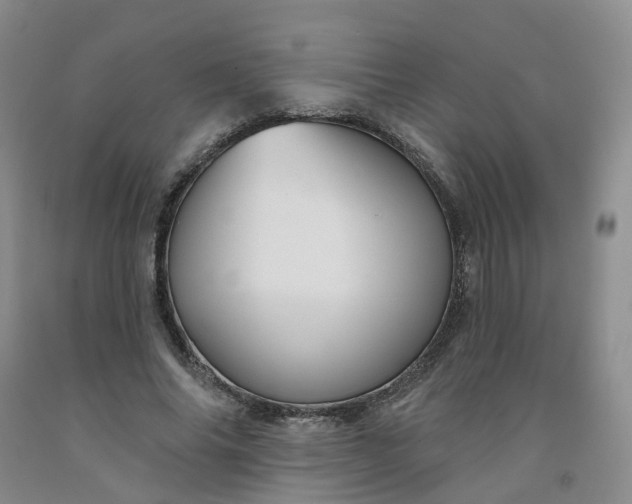 X0000091990686200709201448