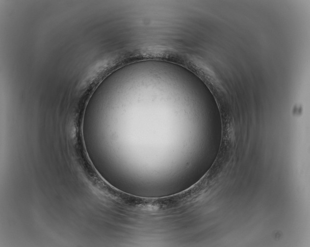 X0000091990687200709201448