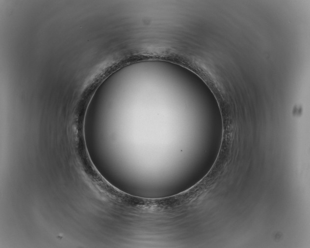 X0000091990688200709201448