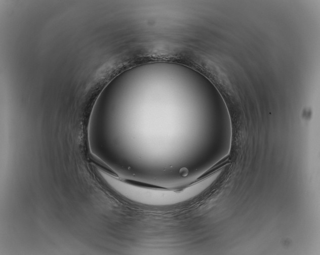 X0000091990689200709201448