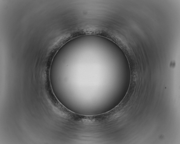 X0000091990690200709201448