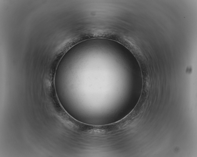 X0000091990691200709201448