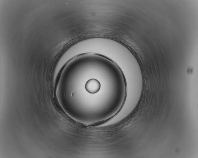 X0000091990693200709201448