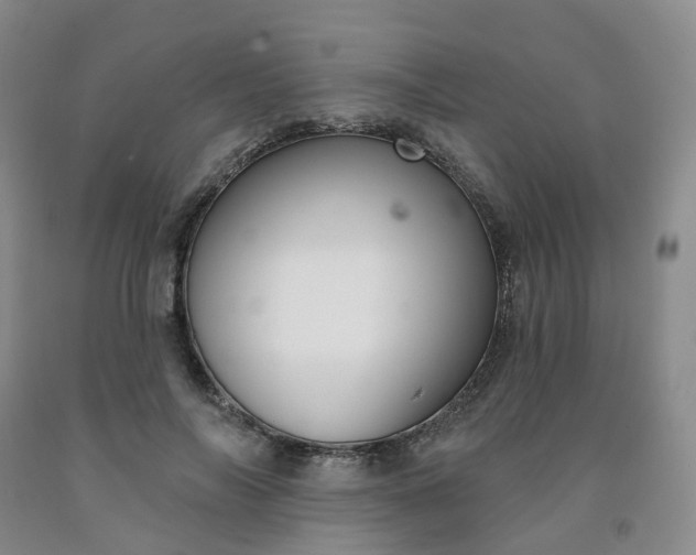 X0000091990694200709201448